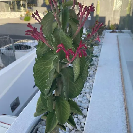 Villa Casa Fariones *