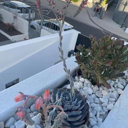 ヴィラ Casa Fariones プエルト・デル・カルメン