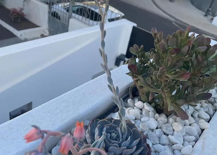 别墅 Casa Fariones 卡门港